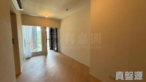 柏傲莊 3期 1座 (1A) - 28NTS – 香港北部都會區