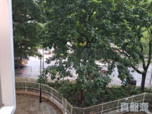 美城苑 貴城閣 (A座) - 28NTS – 香港北部都會區