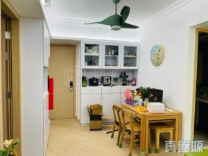 天鑽 8座 - 28NTS – 香港北部都會區
