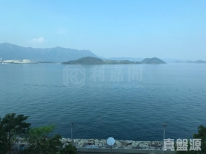 天賦海灣 1期 1座 - 28NTS – 香港北部都會區