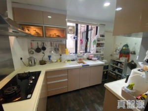 嘉豐花園 4座 - 28NTS – 香港北部都會區