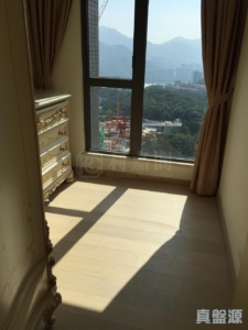 玖瓏山 月瓏閣 第1座 - 28NTS – 香港北部都會區