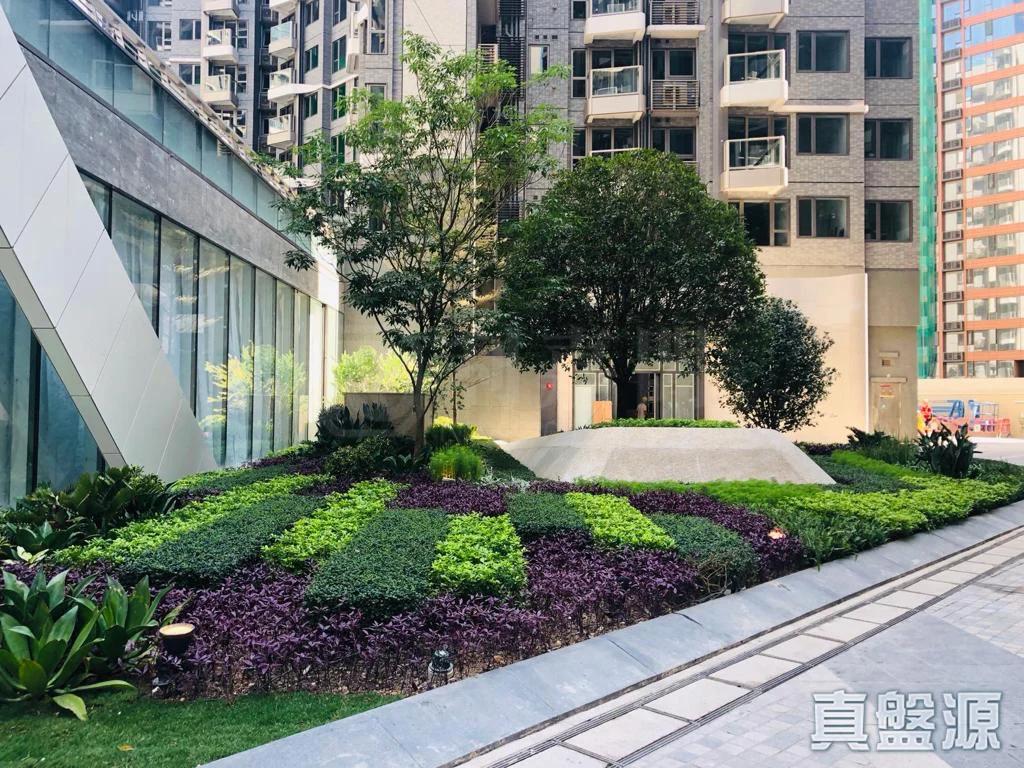 嘉熙 9座 - 28NTS – 香港北部都會區