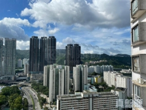 金獅花園 2期 金福閣 (E座) - 28NTS – 香港北部都會區