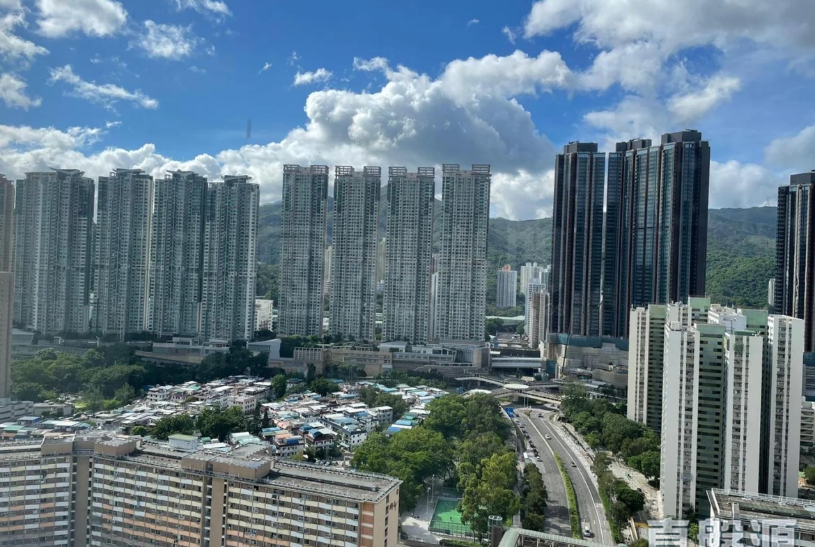 金獅花園 2期 金福閣 (E座) - 28NTS – 香港北部都會區