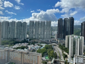 金獅花園 2期 金福閣 (E座) - 28NTS – 香港北部都會區