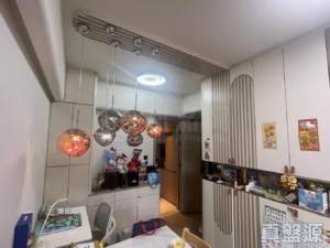 柏傲莊 2期 5座 (5A) - 28NTS – 香港北部都會區
