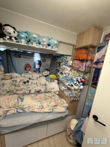 翠擁華庭 12座 - 28NTS – 香港北部都會區