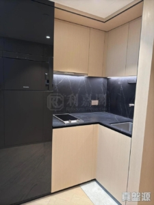 星凱．堤岸 3座 - 28NTS – 香港北部都會區