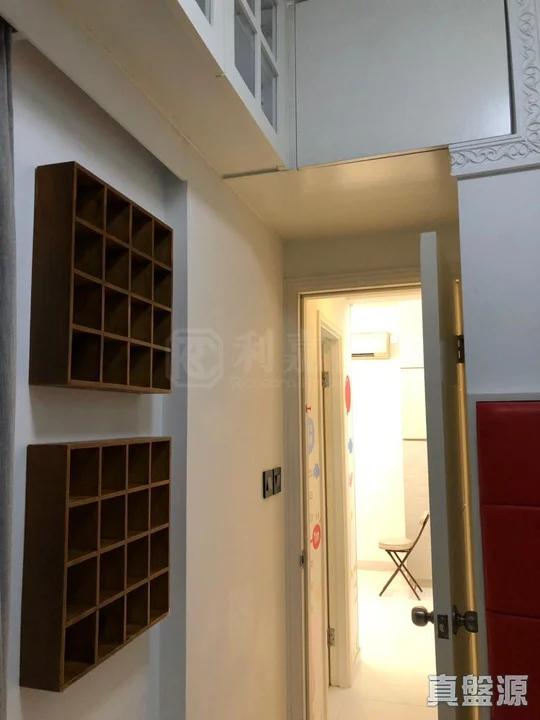顯峯 - 28NTS – 香港北部都會區