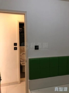 顯峯 - 28NTS – 香港北部都會區