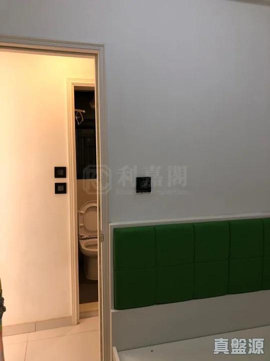 顯峯 - 28NTS – 香港北部都會區