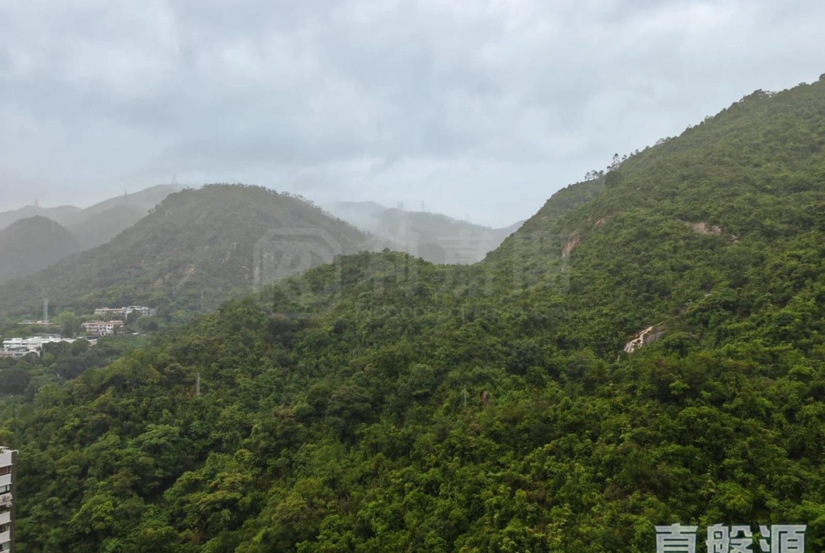 晉名峰 D座 - 28NTS – 香港北部都會區