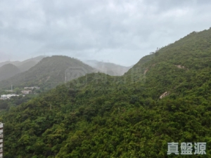 晉名峰 D座 - 28NTS – 香港北部都會區