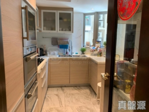 17793442437810fae5-7dbc-4d89-b14a-68425cee6d04.jpeg 逸瓏灣 II 大廈11座 - 28NTS – 香港北部都會區