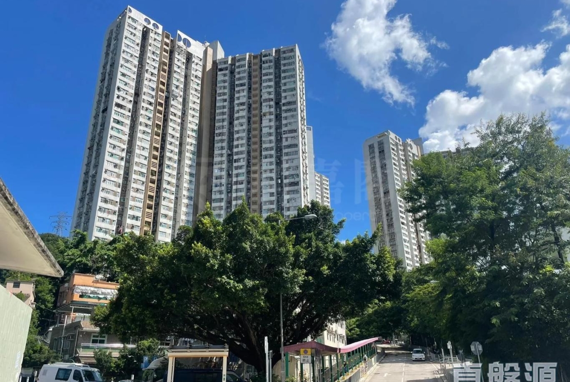 豐盛苑 富盛閣 (C座) - 28NTS – 香港北部都會區