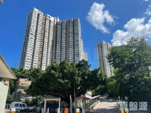 豐盛苑 富盛閣 (C座) - 28NTS – 香港北部都會區