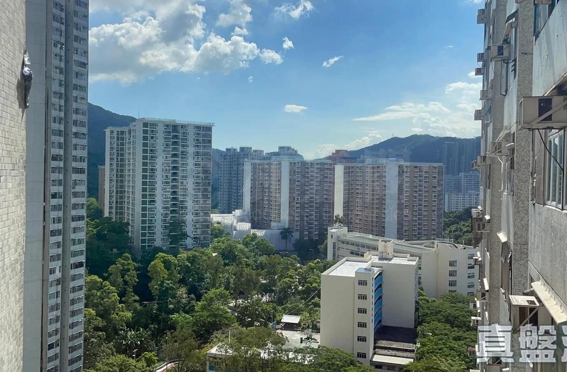 豐盛苑 富盛閣 (C座) - 28NTS – 香港北部都會區