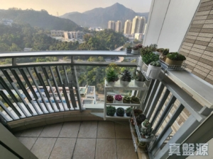177934468408cd3c9e-b927-4fbd-9277-5d7cea59bcc3.jpeg 名城 1期 2座 - 28NTS – 香港北部都會區