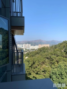 天鑽 8座 - 28NTS – 香港北部都會區
