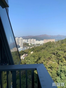 天鑽 8座 - 28NTS – 香港北部都會區