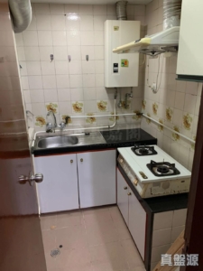 沙田中心 佳寧大廈 (C座) - 28NTS – 香港北部都會區