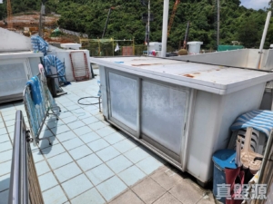 17793468682ffd23f1-5992-4ac8-a40a-bbd8a110dd6e.jpeg 新峰花園 3期 御峰苑 20座 - 28NTS – 香港北部都會區