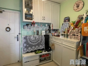 新港城 4期 F座 - 28NTS – 香港北部都會區