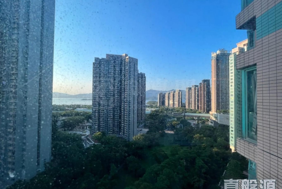 翠擁華庭 1座 - 28NTS – 香港北部都會區