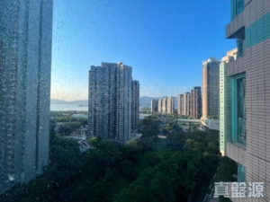 翠擁華庭 1座 - 28NTS – 香港北部都會區