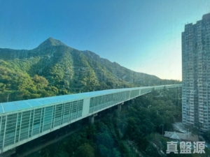 翠擁華庭 1座 - 28NTS – 香港北部都會區