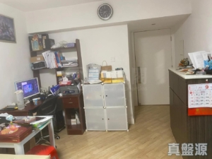 好運中心 松林閣 (A1座) - 28NTS – 香港北部都會區