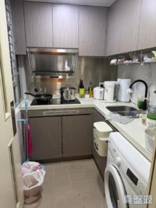 山麗苑 A座 - 28NTS – 香港北部都會區