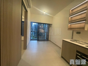 SILICON HILL 1期 翠景閣 第2座 - 28NTS – 香港北部都會區