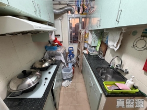 錦禧苑 錦欣閣 (B座) - 28NTS – 香港北部都會區