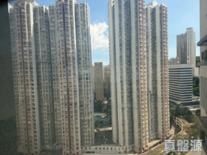 海悅花園 1座 - 28NTS – 香港北部都會區