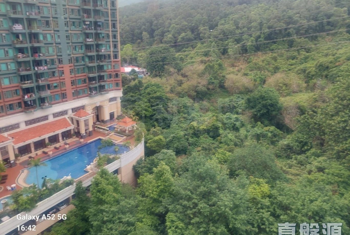 朗逸峰 1期 10座 - 28NTS – 香港北部都會區