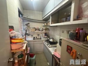 祈德尊新邨 B座 - 28NTS – 香港北部都會區