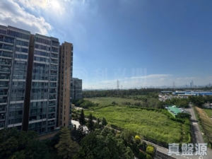 峻巒 2A期 PARK YOHO GENOVA 12座 - 28NTS – 香港北部都會區