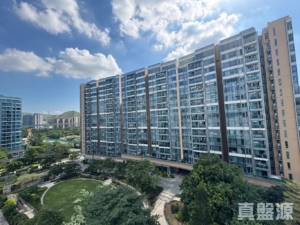 峻巒 2A期 PARK YOHO GENOVA 12座 - 28NTS – 香港北部都會區