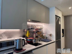 NOVO LAND 1A期 Elverum 2座 - 28NTS – 香港北部都會區