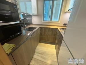 峻巒 2A期 PARK YOHO GENOVA 16B座 - 28NTS – 香港北部都會區