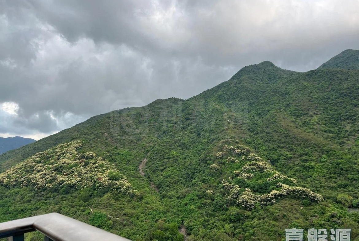 映灣園 1期 賞濤軒 1座 - 28NTS – 香港北部都會區