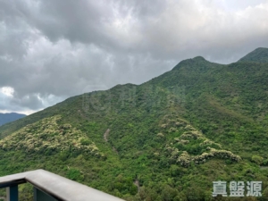 映灣園 1期 賞濤軒 1座 - 28NTS – 香港北部都會區