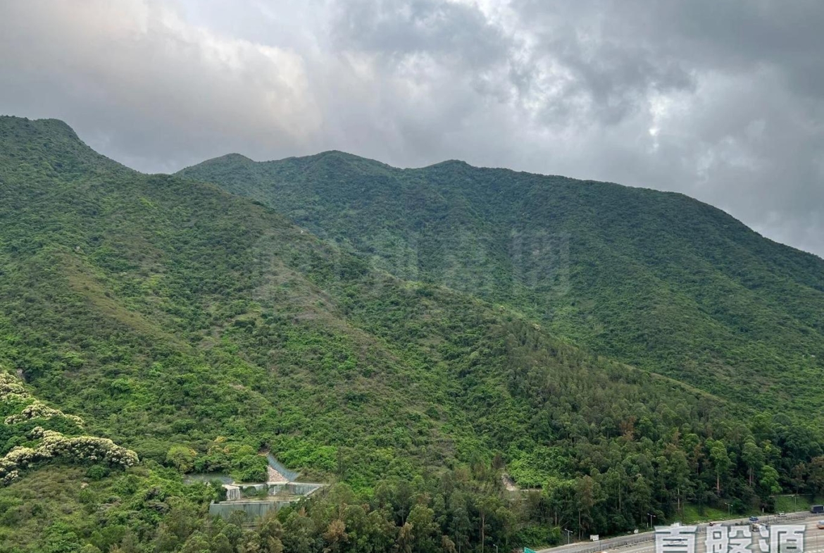 映灣園 1期 賞濤軒 1座 - 28NTS – 香港北部都會區