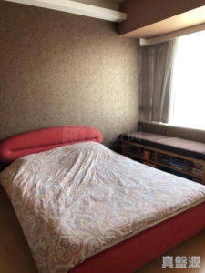 翹翠峰 3座 - 28NTS – 香港北部都會區