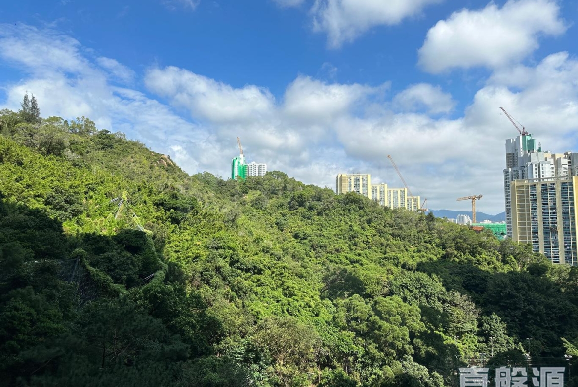 明翹匯 2座 - 28NTS – 香港北部都會區