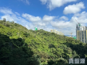 明翹匯 2座 - 28NTS – 香港北部都會區