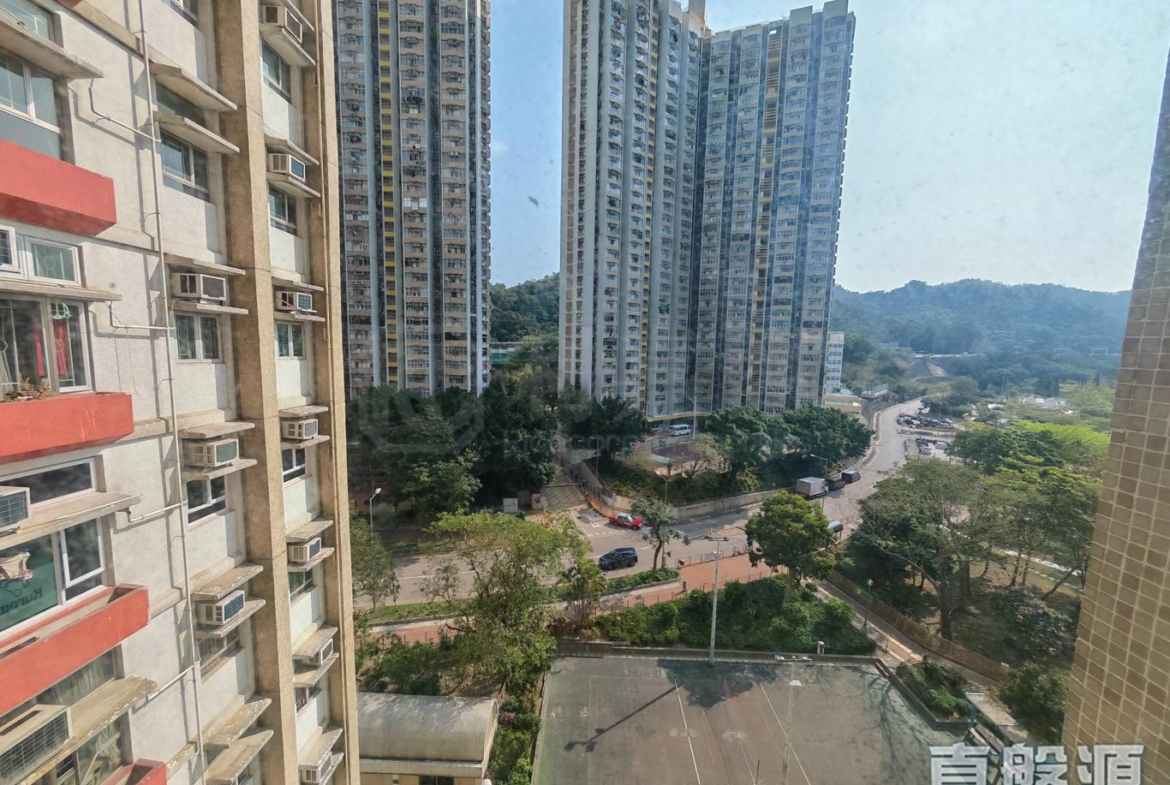 青泰苑 俊泰閣 (F座) - 28NTS – 香港北部都會區