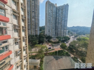 青泰苑 俊泰閣 (F座) - 28NTS – 香港北部都會區